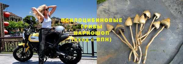 мет Балахна