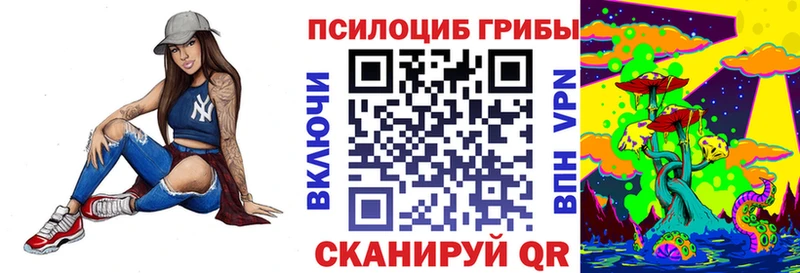 Галлюциногенные грибы ЛСД  гидра как войти  Тогучин 